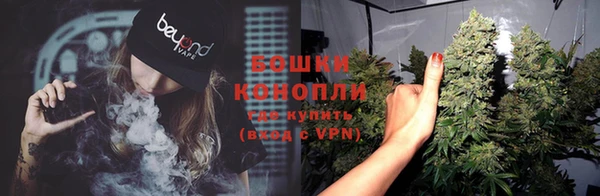 индика Богданович
