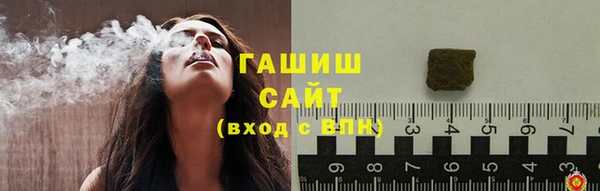индика Богданович