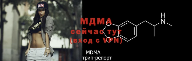 индика Богданович