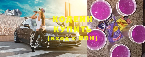 индика Богданович
