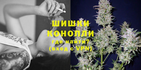 индика Богданович