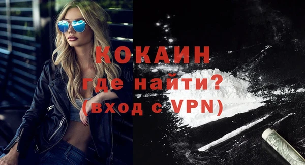 индика Богданович
