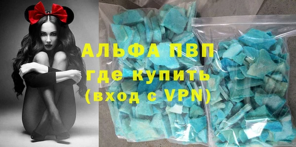 индика Богданович