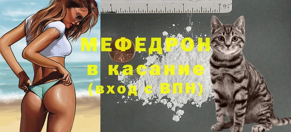 индика Богданович
