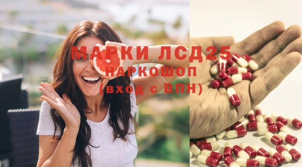 амф Богородицк