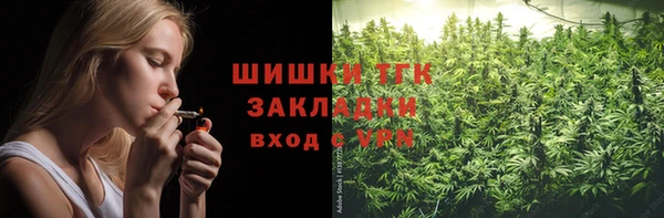 амф Богородицк