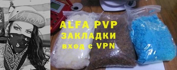 индика Богданович