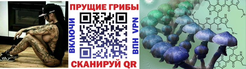 Псилоцибиновые грибы Magic Shrooms  mega ССЫЛКА  Велиж 
